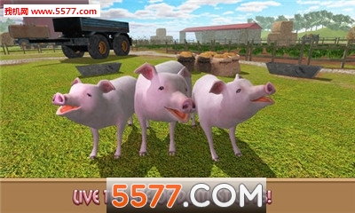 Pig Simulator(ģ׿)ͼ1