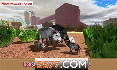 Pig Simulator(ģֻ)ͼ1