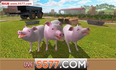 Pig Simulator(ģֻ)ͼ2