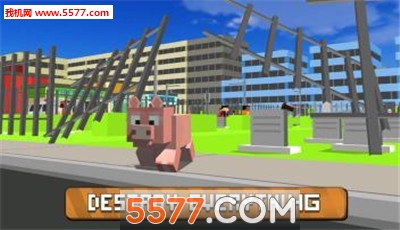 Blocky City Pig(ģ׿)ͼ1