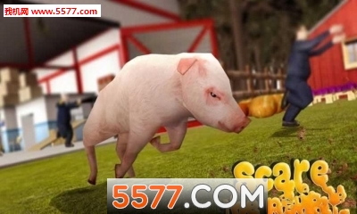 Pig Simulator(ģٷ)ͼ0