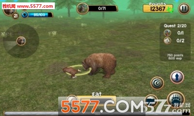 Wild Bear Simulator 3D(˹ģ)ͼ1