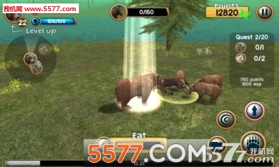 Wild Bear Simulator 3D(˹ģ)ͼ2