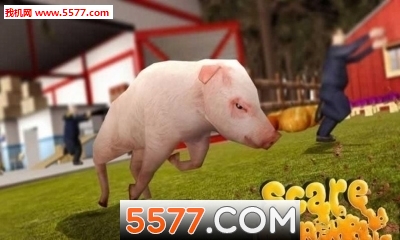 Pig Simulator(ռģ׿)ͼ0