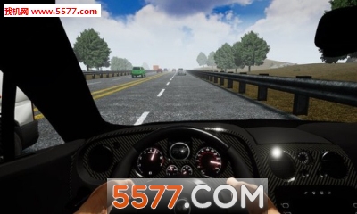 Real Driving: Ultimate Car Simulator(ʵʻռģ׿)ͼ0