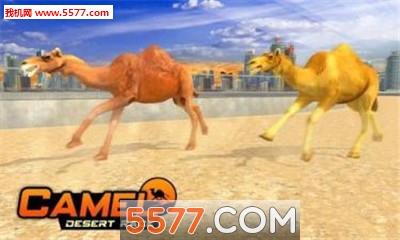 Camel Desert Race Simulator - Animals Racing 3D(ģ׿)ͼ1