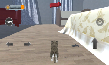 èģ3Dֻ(Cat Simulator 3D)