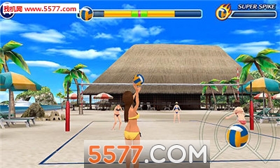 ɳ򘷈@׿(Beach Volleyball)؈D3