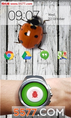 LadyBug in Phone Funny Joke(xĻܛ)؈D1