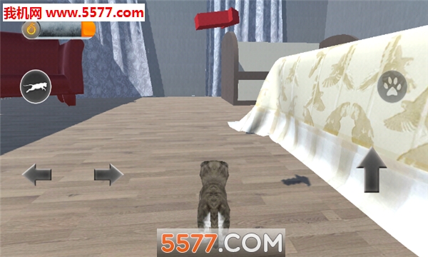 èģ3Dֻ(Cat Simulator 3D)ͼ2