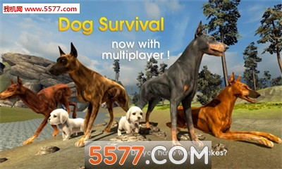 Dog Survival Simulator()ͼ0