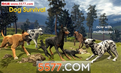 Dog Survival Simulator()ͼ1