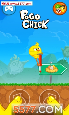 Pogo Chick(ıСu֙C)؈D1