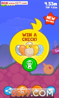 Pogo Chick(ıСu֙C)؈D2