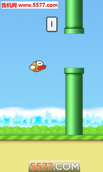 BFaby Bird The Flappy Adventure؈D1