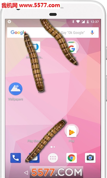 xĻܛ(Worm crawls on Phone joke)؈D2