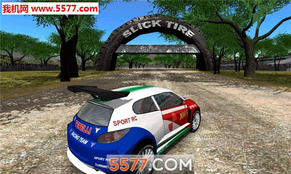 Rally Championship(\(bio)ِ֙C(j))؈D1