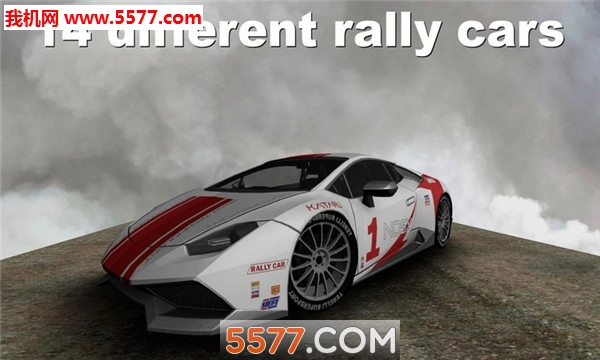 Rally Championship(\(bio)ِ֙C(j))؈D2