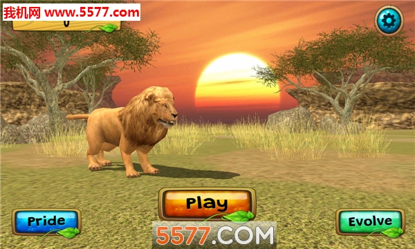 ԭ֮ʨģ׿(Wild Lion Sim)ͼ0