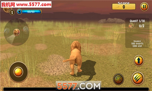 ԭ֮ʨģ׿(Wild Lion Sim)ͼ1