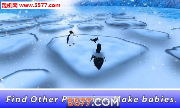 Penguin Family: Polar Bird Survival Simulator(ͥģ׿(Penguin Family))ͼ0