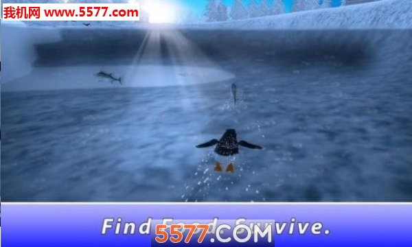 Penguin Family: Polar Bird Survival Simulator(ͥģ׿(Penguin Family))ͼ1