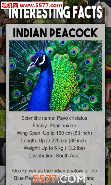 Bird Encyclopediaٿȫͼ3