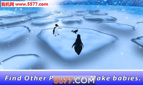 Penguin Park 3D׿