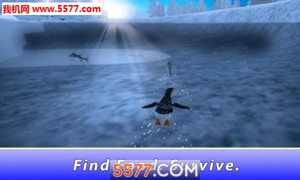 Penguin Simulator(Penguin Park 3D׿)ͼ1