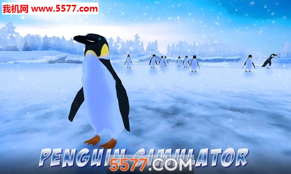 Penguin Simulator(Penguin Park 3D׿)ͼ2