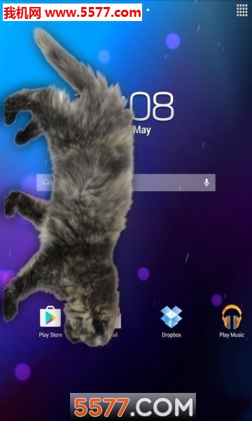 Cat Walks in Phone Cute joke(èapp)ͼ0