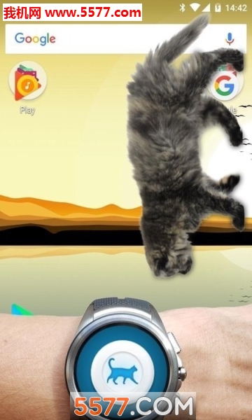 Cat Walks in Phone Cute joke(èapp)ͼ1