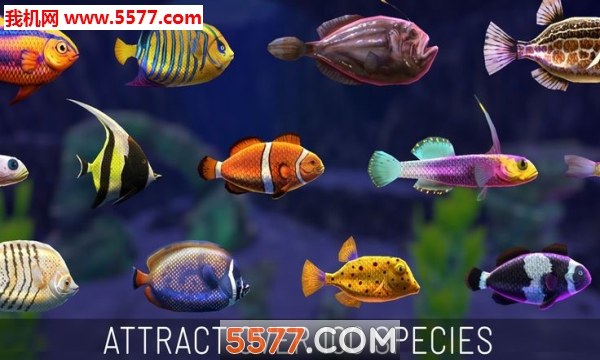 Fish Abyss Aquarium Simulator׿