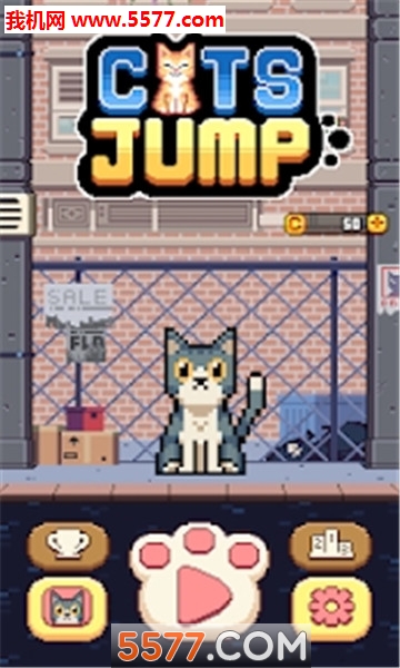 cat jump׿(èԾ)ͼ3