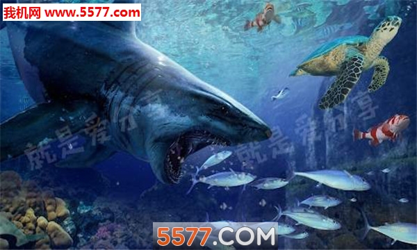 Angry Shark Evolution: Shark World - Shark Attack(ŭ׿)ͼ1