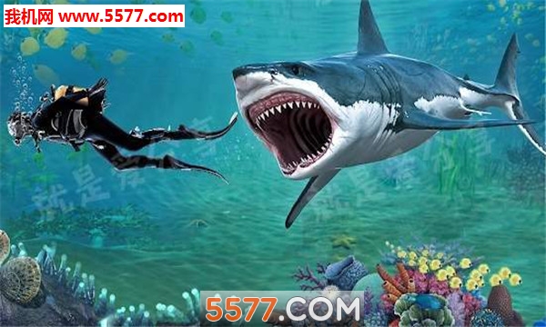 Angry Shark Evolution: Shark World - Shark Attack(ŭ׿)ͼ2