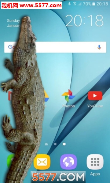 (Crocodile in Phone Big Joke)ͼ1