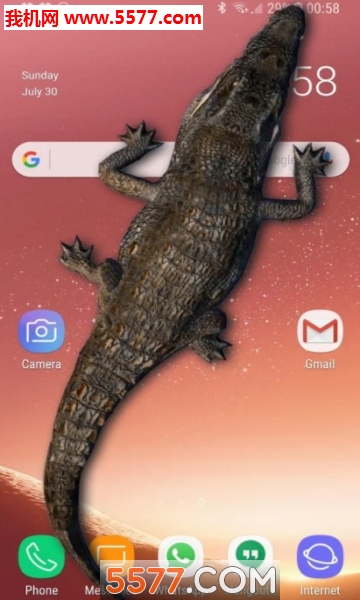 ⰲ׿(Crocodile in Phone Big Joke)ͼ0