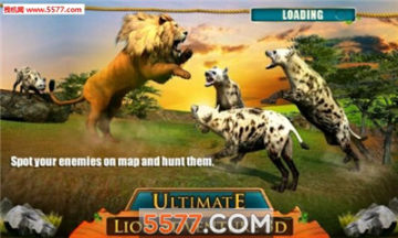 Ultimate Lion Adventure׿