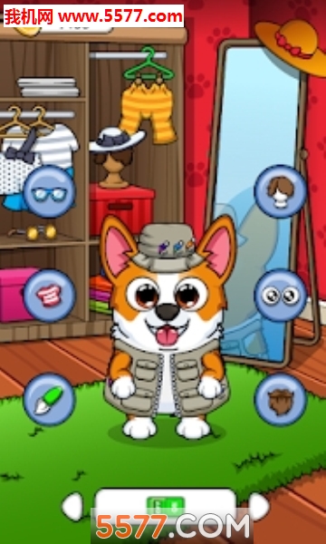 My Corgi׿ͼ3