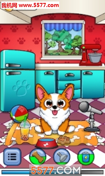 My Corgi׿