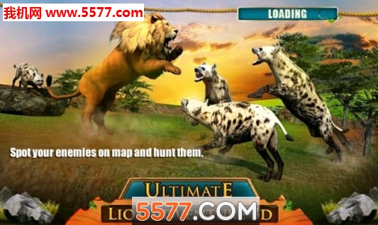 Ultimate Lion Adventure 3D(Ultimate Lion Adventure׿)ͼ1