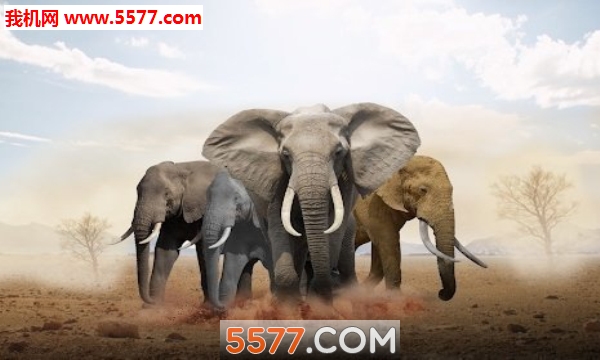 Giant Elephant Simulator(ģ׿)ͼ2