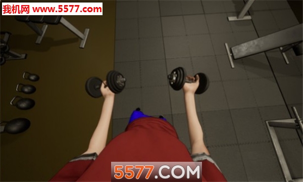 Modern Gym Simulator(ģ׿)ͼ2