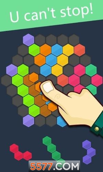 Hex Puzzle(䌦(du)ƴD°)؈D0