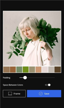 inColors Palette׿