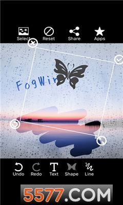 fogwinЧ˾