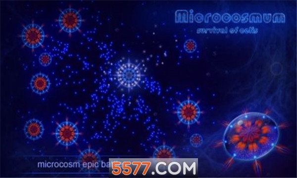 ΢ϸģֻ(Microcosmum)ͼ1