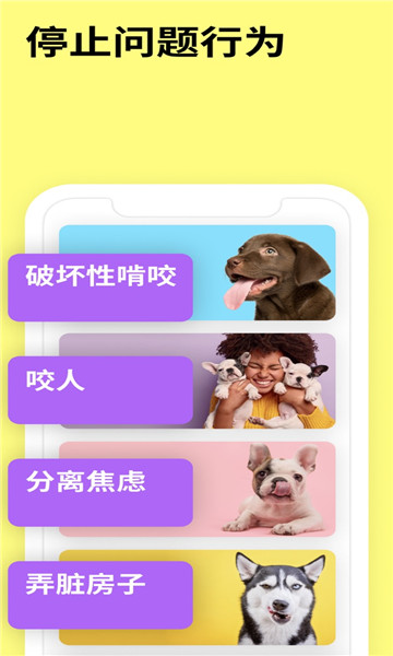 everydoggy׿ͼ1