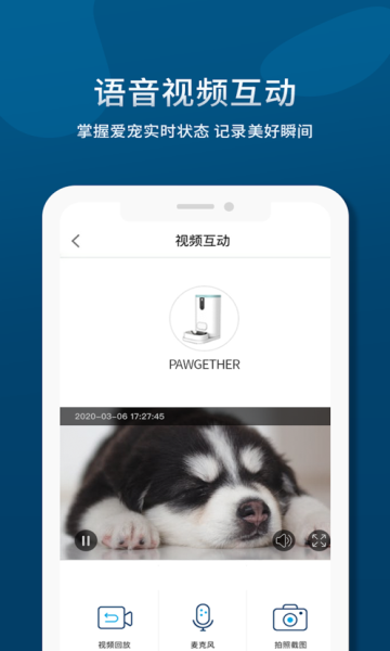 Сapp(pawgether smart)؈D1